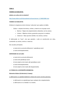 Miniatura del documento criminalitat Tema 6.pdf