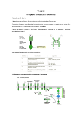 Miniatura del documento Tema 13.pdf