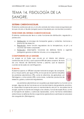 Miniatura del documento TEMA 14. FISIOLOGÍA DE LA SANGRE..pdf