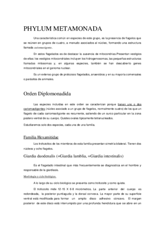 Miniatura del documento Phylum Metamonada.pdf