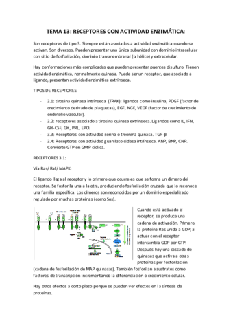 Miniatura del documento TEMA 13.pdf