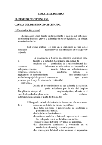 Miniatura del documento TEMA 12. EL DESPIDO.pdf