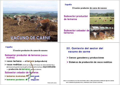 Miniatura del documento 22.-Sector-vacuno-de-carne.pdf