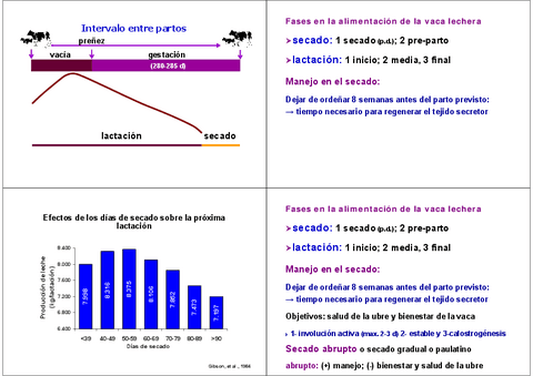 Miniatura del documento 28.-Alimentacion-de-rebano.pdf