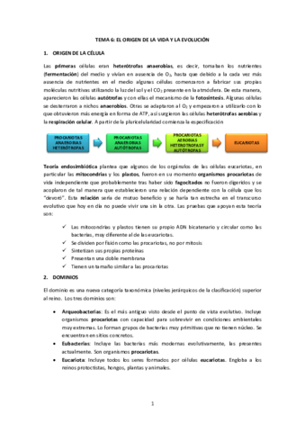 Miniatura del documento Biología Tema 6. El origen de la vida y la evolución.pdf
