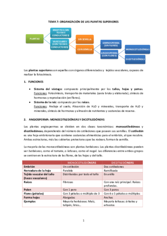 Miniatura del documento Biología Tema 7. Organización de las plantas superiores.pdf
