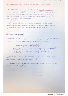 Miniatura del documento DIVERSIDAD Y ED. ESPECIAL.pdf