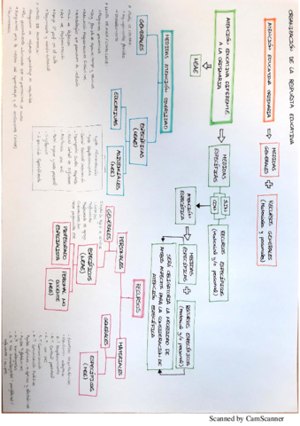 Miniatura del documento PAGINA 150 PROTOCOLO.pdf