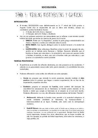 Miniatura del documento 1 TEORÍAS POSITIVISTAS Y CRÍTICAS.pdf