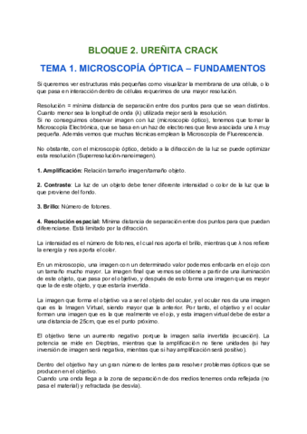 Miniatura del documento Bloque 2_.docx.pdf