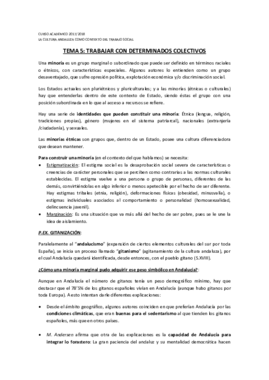 Miniatura del documento APUNTES CULTURA T5.pdf