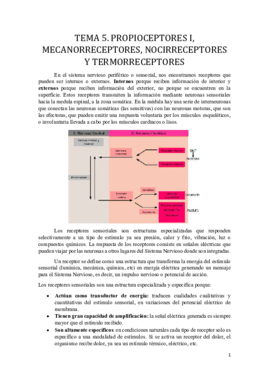 Miniatura del documento Tema 5.pdf