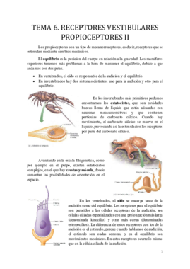 Miniatura del documento Tema 6.pdf