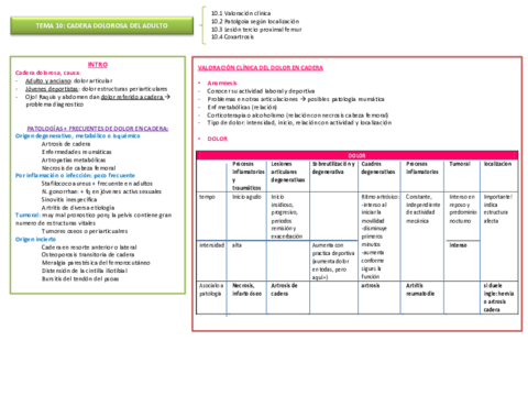 Miniatura del documento TEMA 9 CADERA GENERAL.pdf