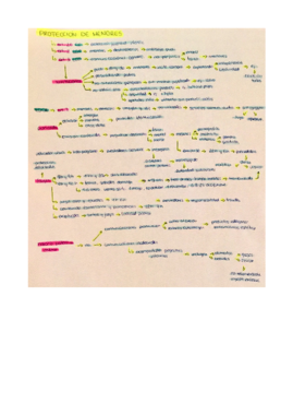 Miniatura del documento Esquemas t5.pdf