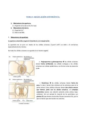 Miniatura del documento Tema 4 - Fisiología Vegetal. (Recuperado).pdf