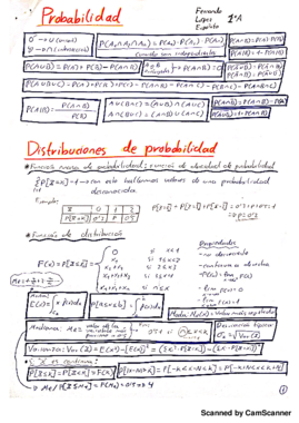 Miniatura del documento RESUMEN DE FORMULAS Y CONTENIDOS.pdf