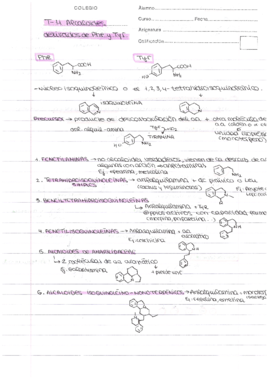 Miniatura del documento Escaneados-doc.-universidad-31-32.pdf