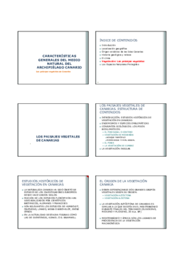 Miniatura del documento Tema 8e.pdf