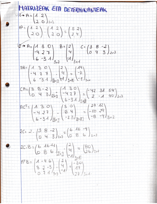 Miniatura del documento Matrizeak-ETA-Determinateak.pdf