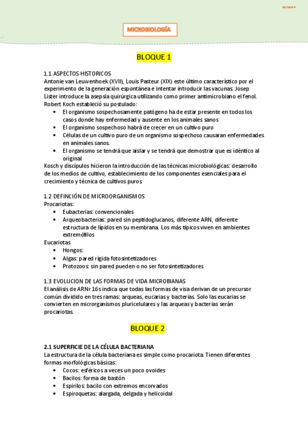 Miniatura del documento Micro-Resumen-Tema-1-3.pdf