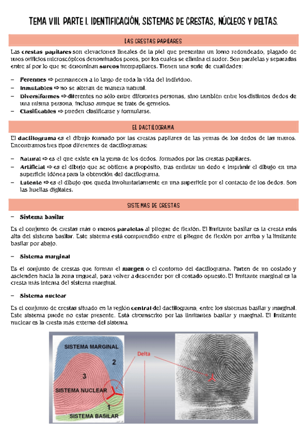 Miniatura del documento lofoscopia-T8-parte-1.pdf