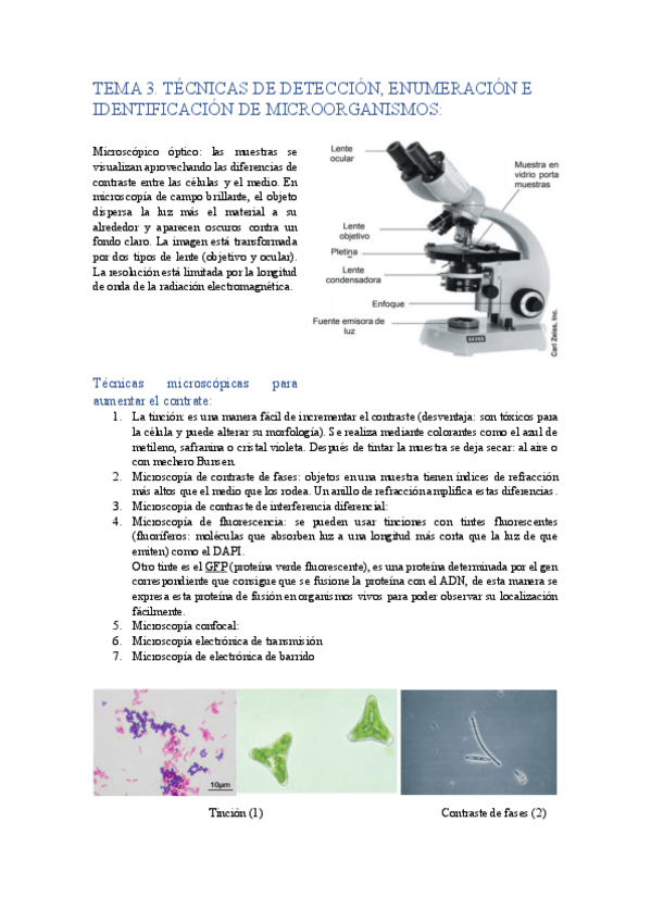 Miniatura del documento MICROBIOLOGIA-TEMA-3.pdf