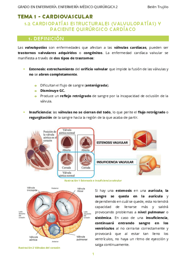 Miniatura del documento MQ2-Tema1-Cardiovascular-2ValvulopatiasPacienteQx.pdf