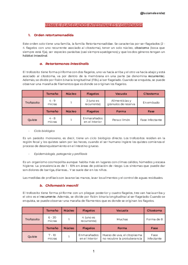 Miniatura del documento Tema-6.-Flagelados-intestinales-y-giardiasis.pdf