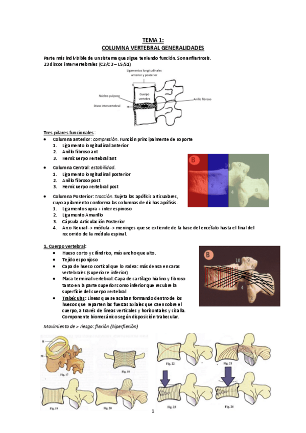 Miniatura del documento Biomecanica generalidades columna vertebral.pdf
