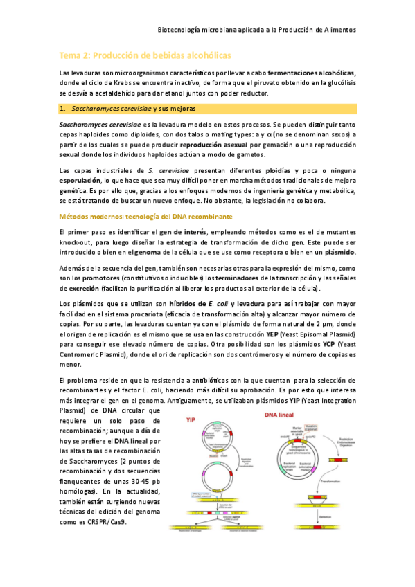 Miniatura del documento Tema-2-Produccion-de-bebidas-alcoholicas.pdf