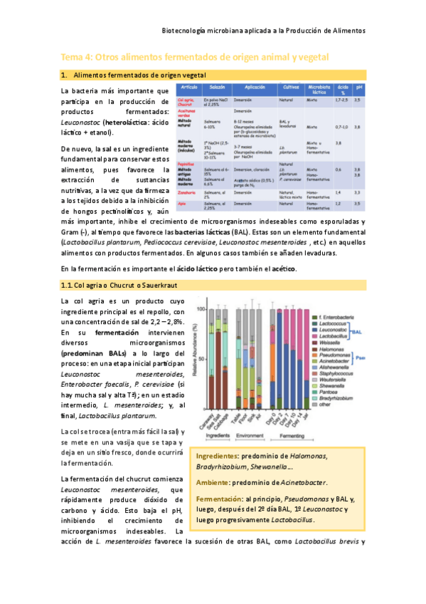Miniatura del documento Tema-4-Otros-alimentos-fermentados-de-origen-vegetal-y-animal.pdf