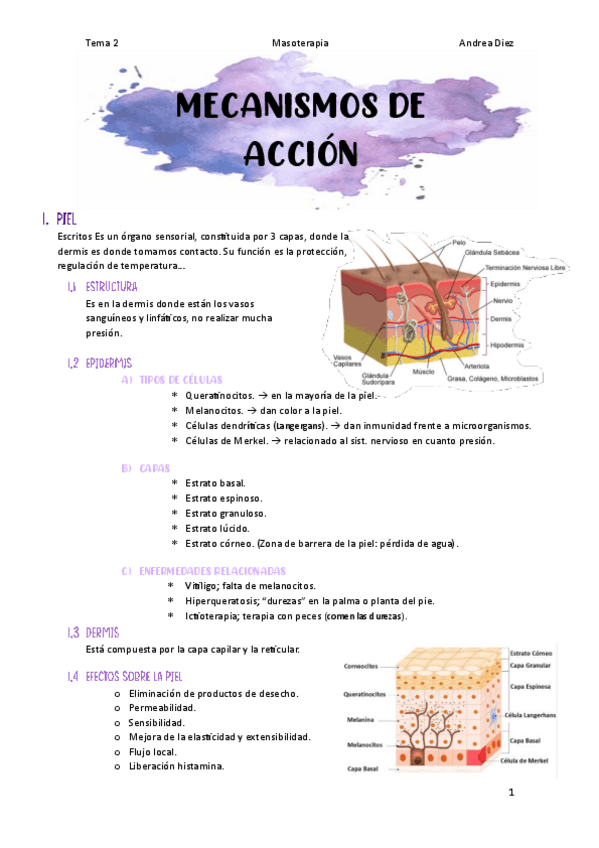 Miniatura del documento Tema-2-Mecanismos-de-accion.pdf