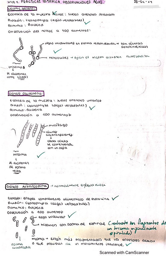 Miniatura del documento Informes-De-Clase-Corregidos-Practicas-Botanica.pdf