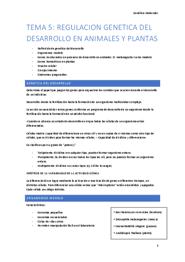 Miniatura del documento Tema-5.pdf
