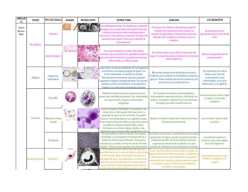 Miniatura del documento Citologia-Celulas-Clasificacion.pdf