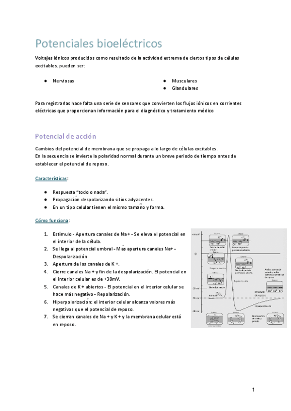 Miniatura del documento Tema-3-fisiologia.pdf