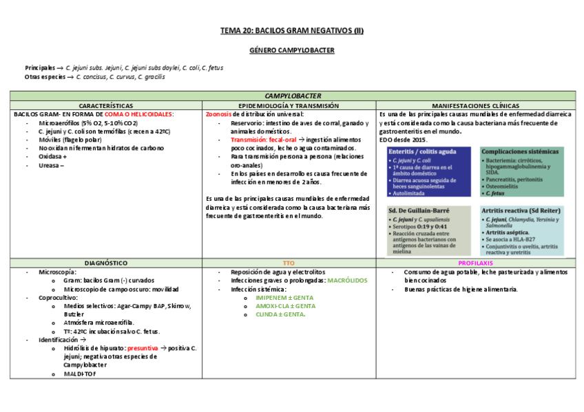 Miniatura del documento Tema-20-Bacilos-Gram-Negativos-II-TABLA.pdf