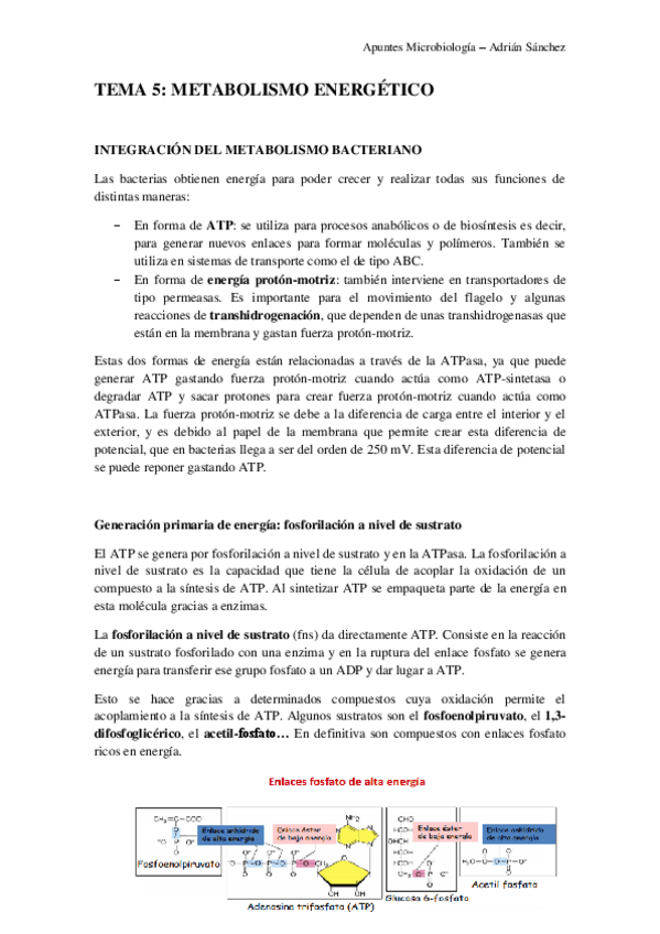 Miniatura del documento TEMA 5 microbiología.pdf