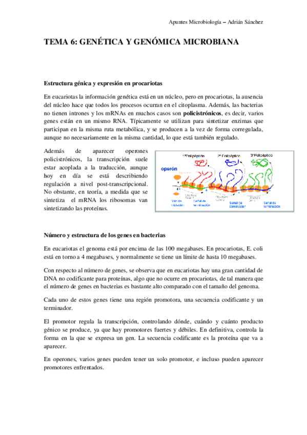 Miniatura del documento TEMA 6 microbiología.pdf