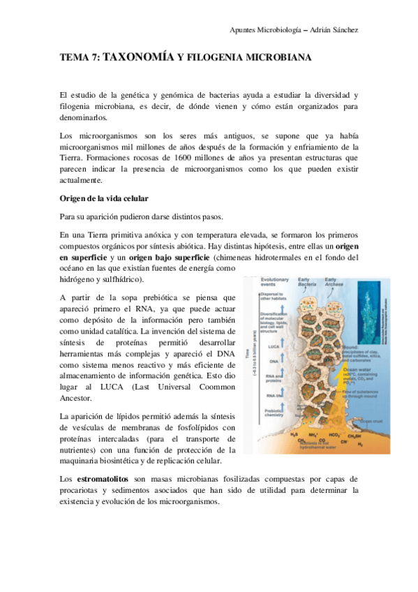 Miniatura del documento TEMA 7 microbiología.pdf