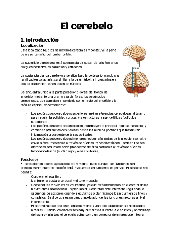 Miniatura del documento Tema-3-El-cerebelo.pdf