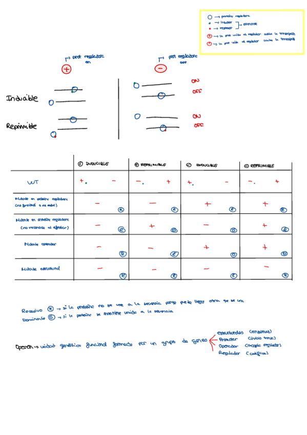 Miniatura del documento Regulacion.pdf