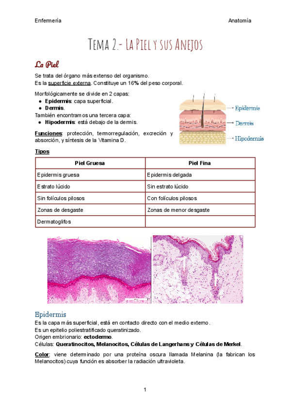 Miniatura del documento Tema-2.pdf
