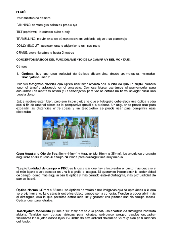 Miniatura del documento apuntes-plato.pdf