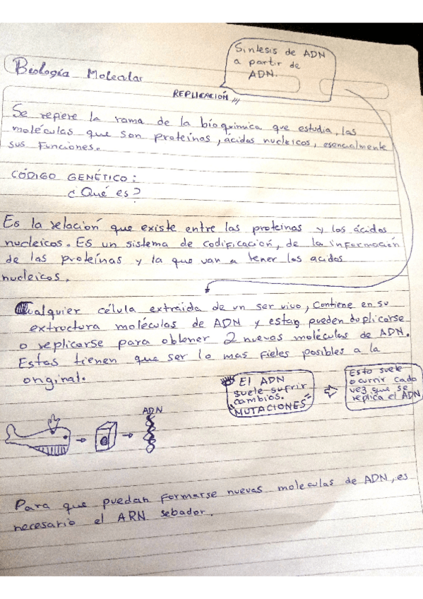 Miniatura del documento biologia-molecular-Bases.pdf