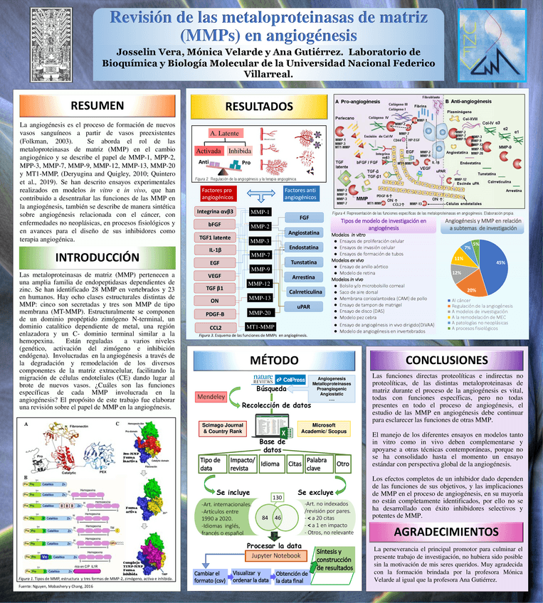 Miniatura del documento POSTER-ANGIOGENESIS-MMP-VERA-ROQUE-JOSSELIN.pdf