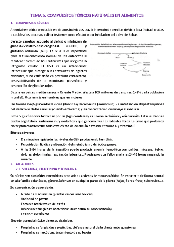 Miniatura del documento TEMAS-EVA.pdf