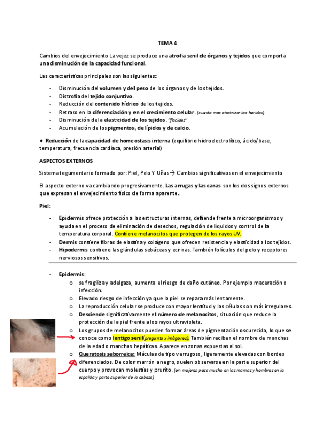 Miniatura del documento GERONTO-T-4.pdf