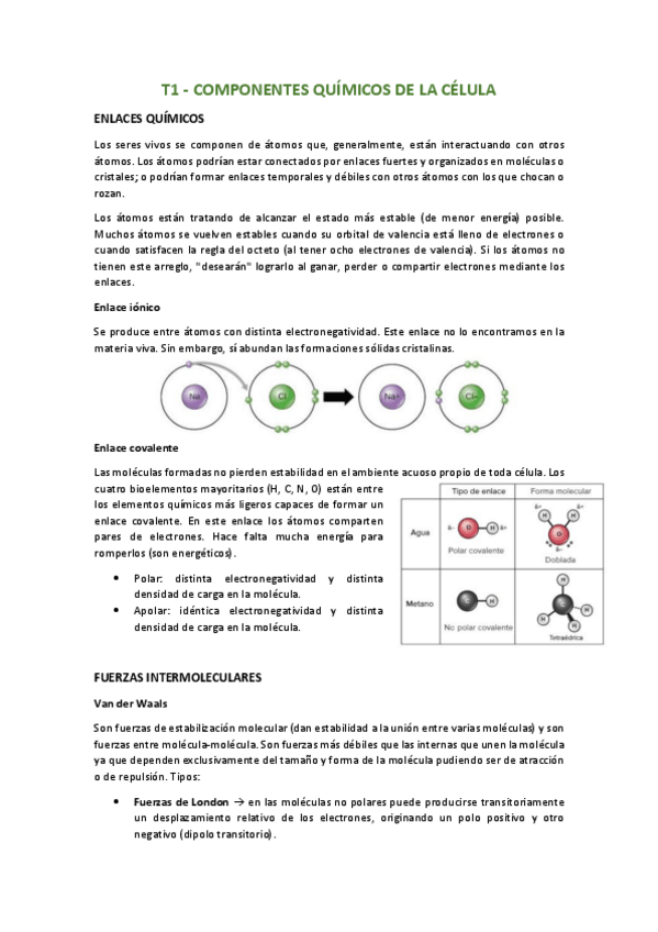 Miniatura del documento Biologia-2oBachillerato-EVAU.pdf